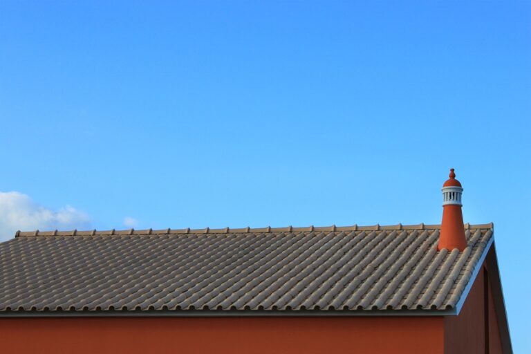 flue