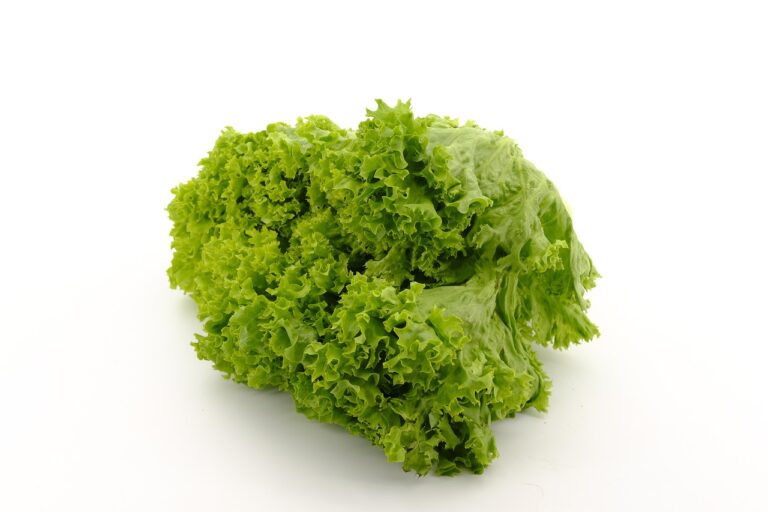 salata