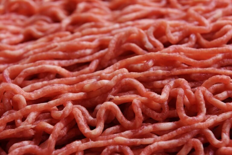 carne de pui