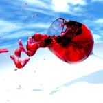 ce înseamnă când visezi vin roșu