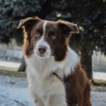 ziua mondiala a fotografiei