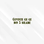 cuvinte cu ce din 3 silabe