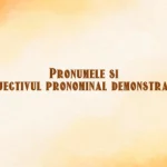 pronumele si adjectivul pronominal demonstrativ