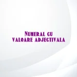 numeral cu valoare adjectivala