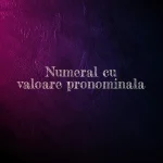 numeral cu valoare pronominala