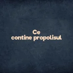 ce contine propolisul