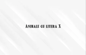animale cu litera x