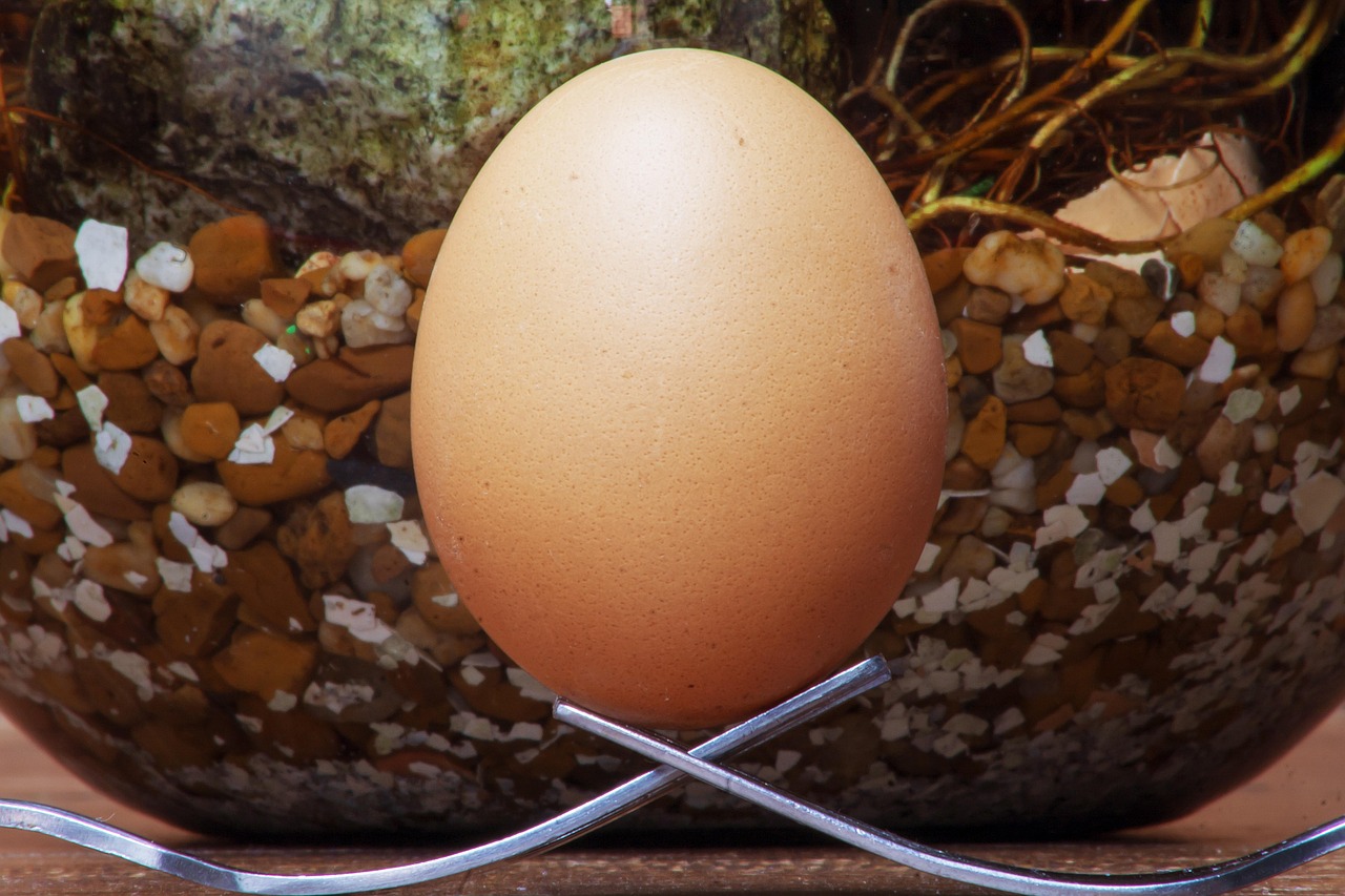 cum se face blatul de tort