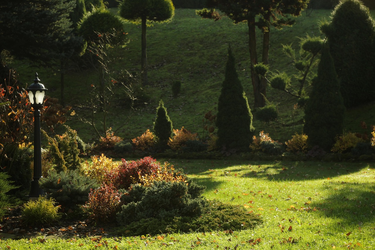 nicole kidman operatii estetice